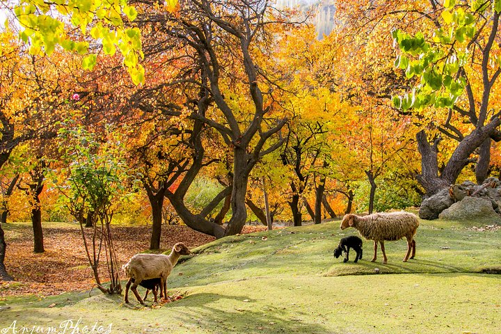 Autumn landscape Tour in Baltistan, Gilgit Baltistan adventure tour packages